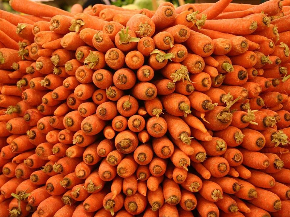 ������� ����� ��������� �������: �������, ��� ������������� ���������