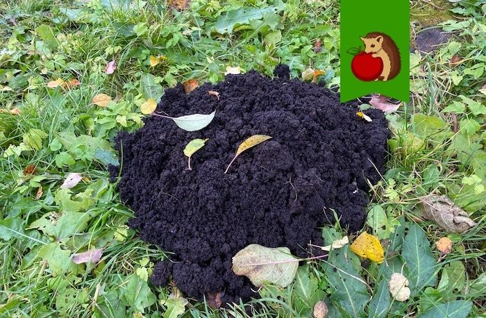 ��� �������� ����� �� ���������� � ����: �������� ����������� �� �������������