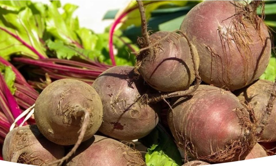 ������ ������ �� ������: �������� ������ ���������