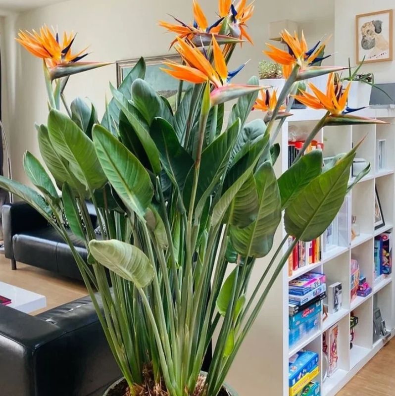 ������ �������: 7 ��������, ������� ���������� ��� ��� � ����������� �������