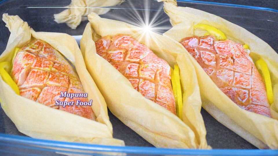 ����� ���� � ����� �� ����� ����� �� ��������-�������� ������