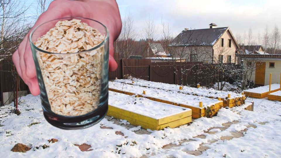 ������� ������ ������: ��������� ����� ����� � ����������