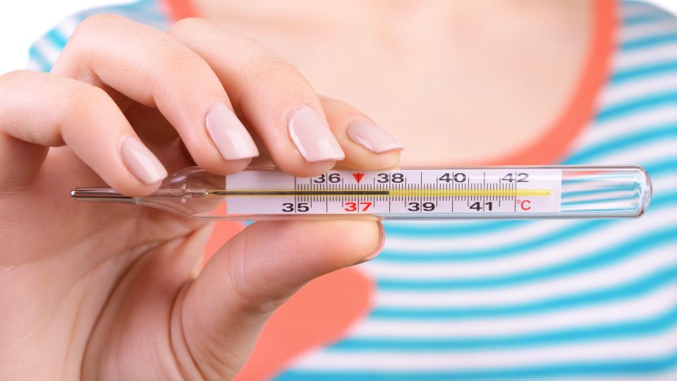 ��� ������ ����� ������: ��� ����� ������, ���� �������� ���������