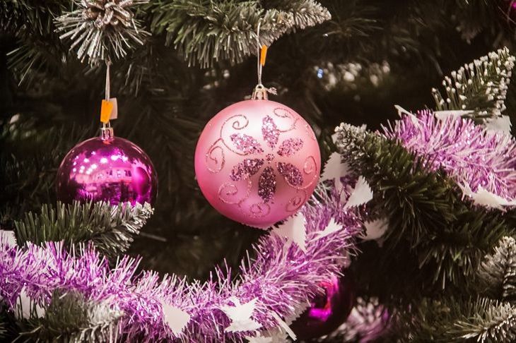 ��� ������������ �� � ���� ������: 5 ��������� ��� ���������� ����, ������� �������� �������� ������� � ������� �� ����� � 2024 ����