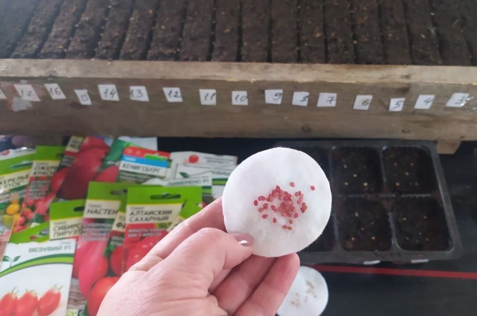 ������ ������ �� �������: 5 ������� ������