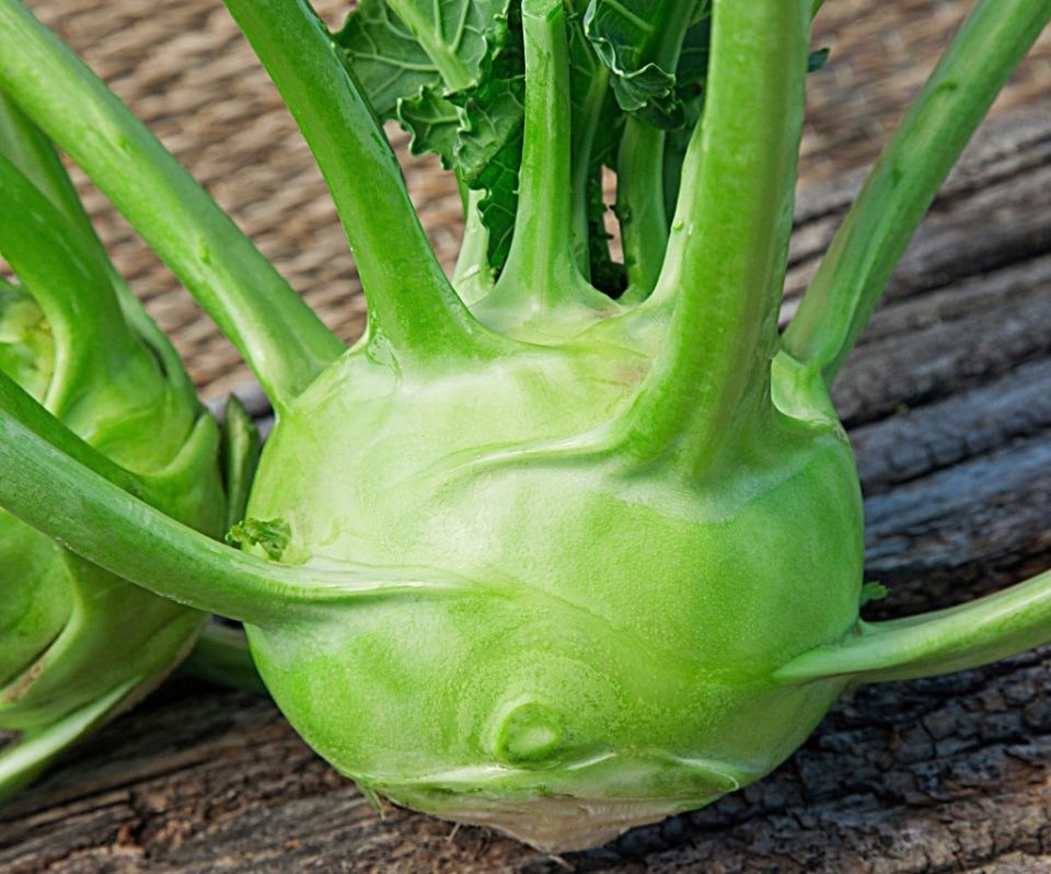 ������� ��������: ����� � ������ �� �����������