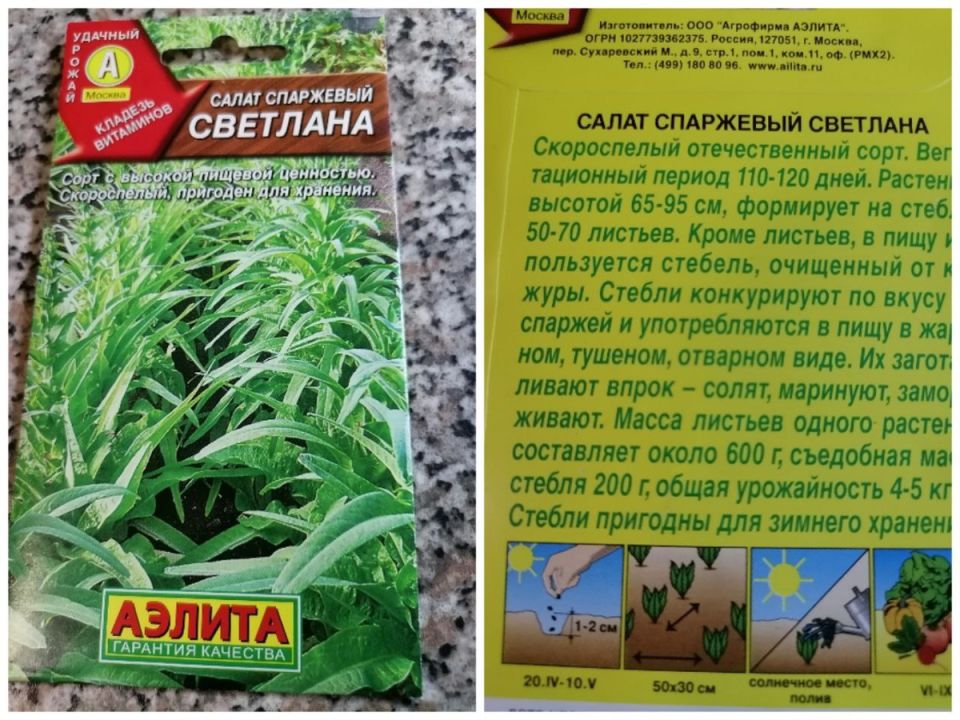 ��������� ����� �����: ������� ����������� � �������� ������