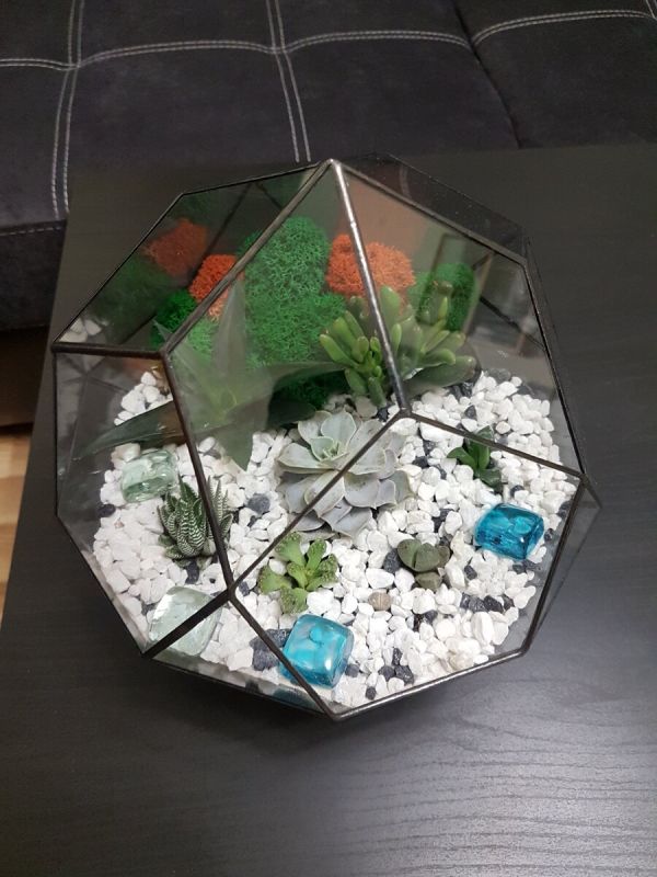 ������ ������� ����: ��� ��������� ������ ����������