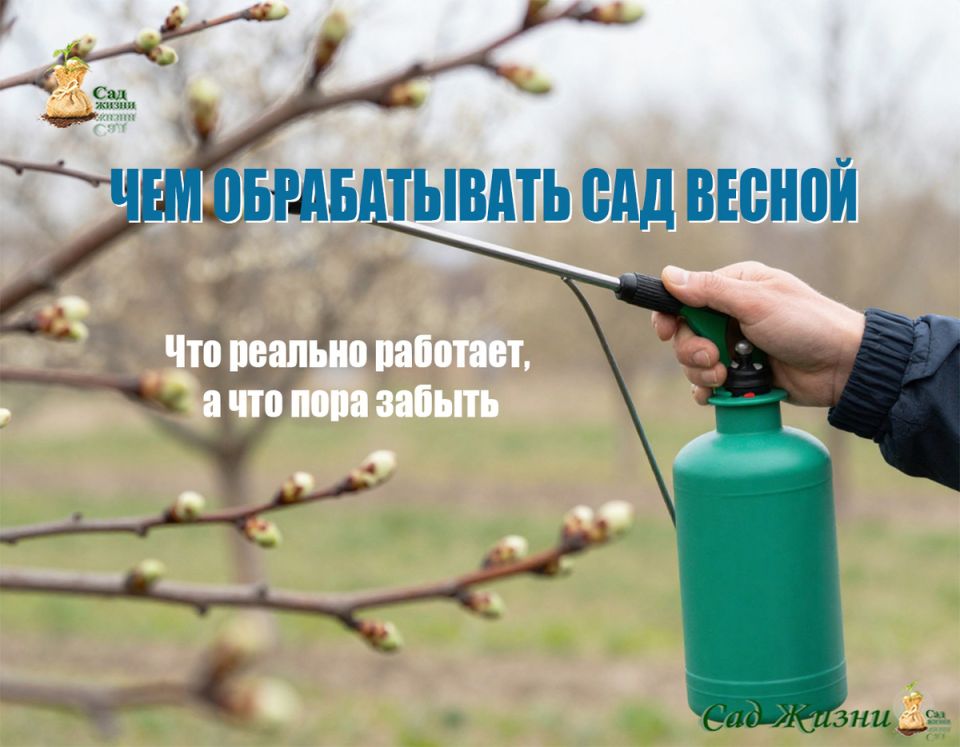 ��� ������������� ����� ��� �������� ��������� ����: ������������ ����