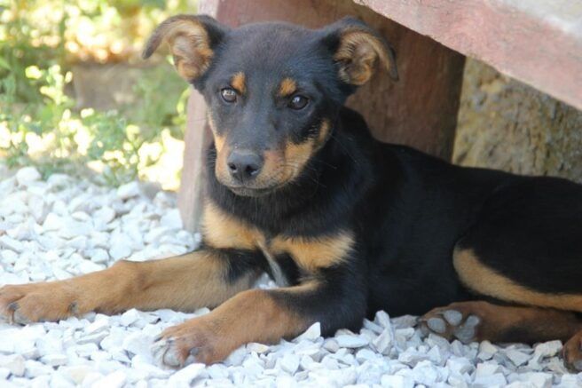 ����� ����������: ��� ������������ � ��������� �������� ����� �������� �������� � �������