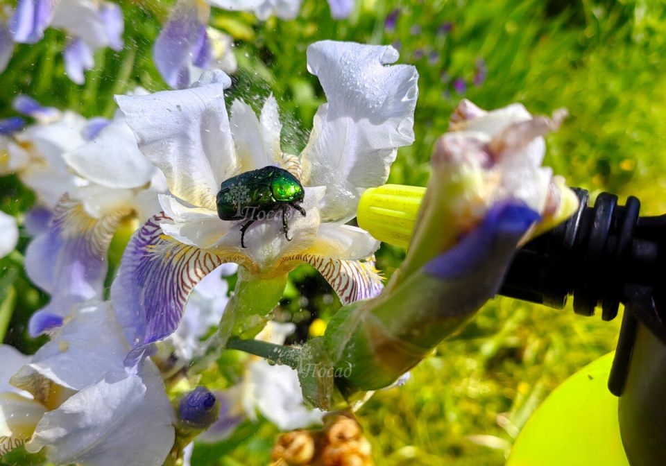 ��� �������� ����� �� �����: ������� � ����������� ������