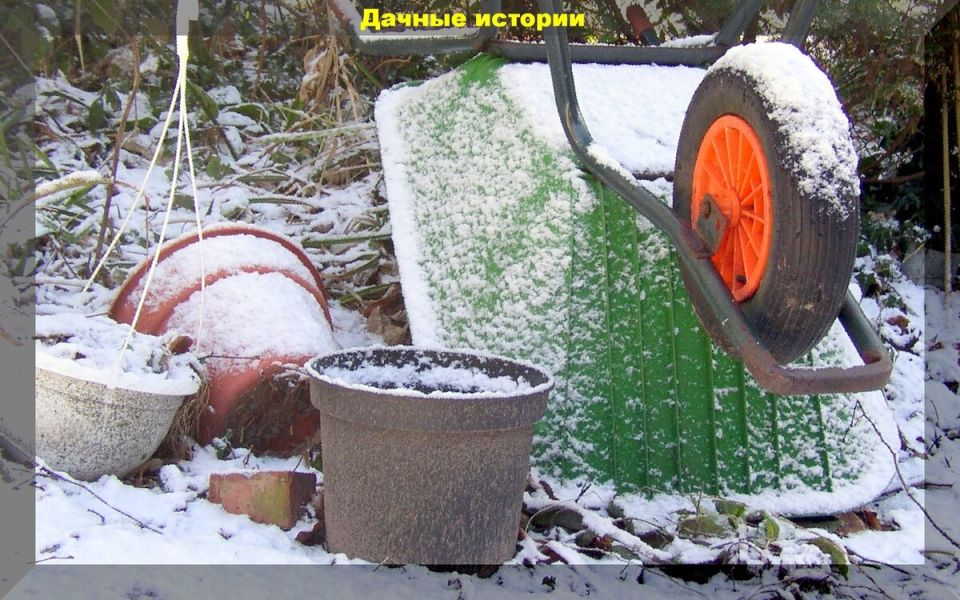 ���� ��� ������ ������ � ������: ��� �������� �� �������