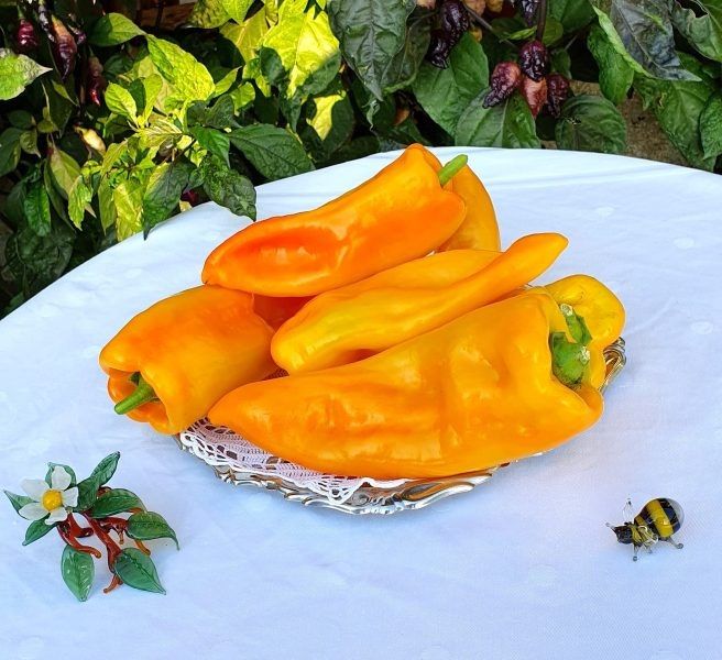 ����� ��������: ������� ��������� ����������� � �����