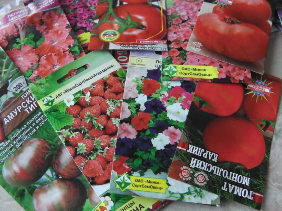 ��� ������� � ����� ������������ ������: ����������� ������