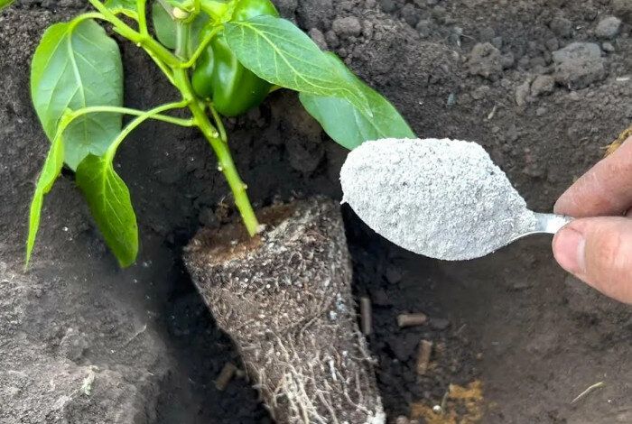 ����������� ������� ��� �������� ������� ������: ������� ������� ��������