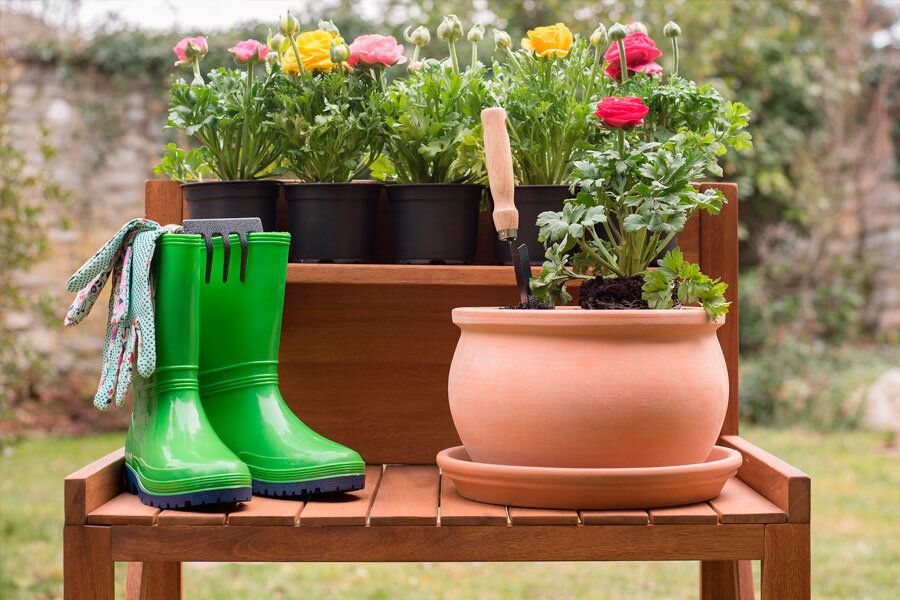 ���������� � ����: ��� ��������� ������ ������ ������