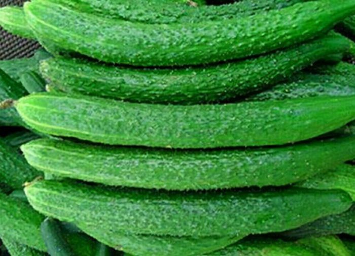 ������ ������������ ���������: ��������� ����� ��� ������ �������