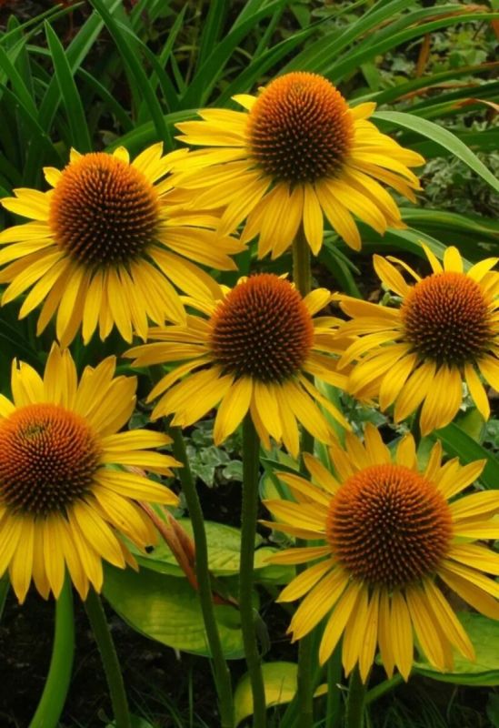 ��������: ������� � �������� � ����� ����