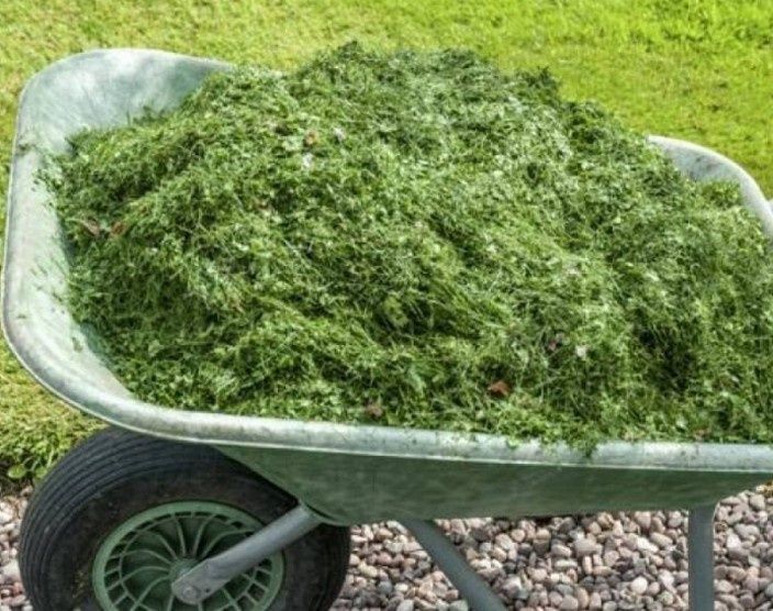 Горячая мульча: как ферментация помогает вашим растениям