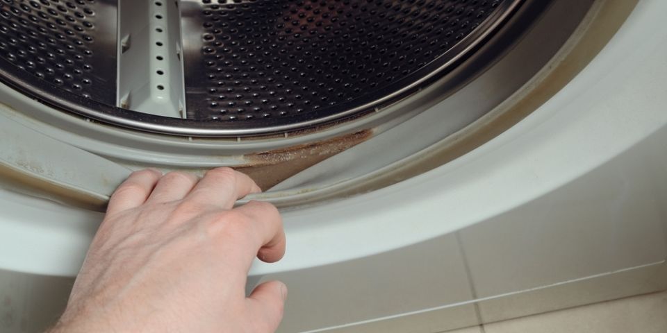 ��� �������������� �������� �������������� ������� ���������� ������